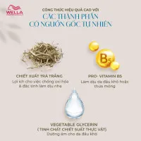 Dầu gội Wella Elements