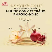 Dầu gội Wella Oil Reflections