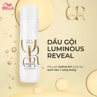 Dầu gội Wella Oil Reflections